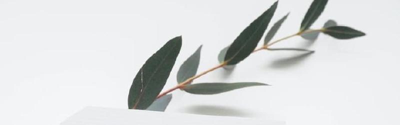 Featured image of post 看见
